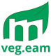 Logo-vegeam-273x300